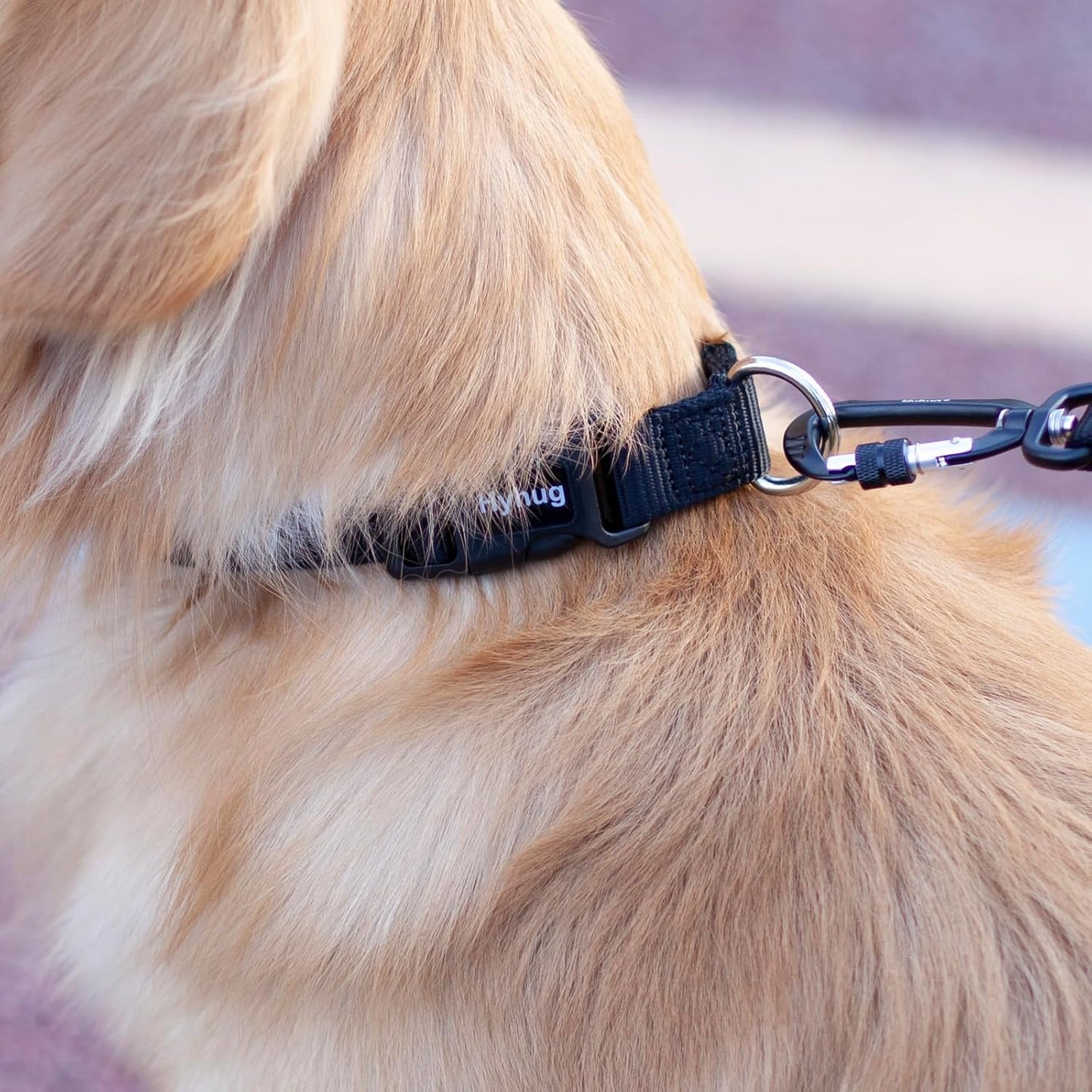 Medium Dog Collar – Adjustable Heavy-Duty Nylon Collar with Quick-Release Buckle, Durable & Comfortable, Black